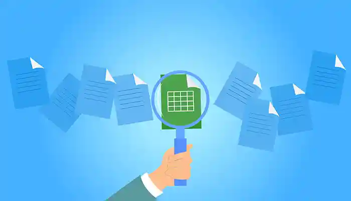 Search Rankings Visibility